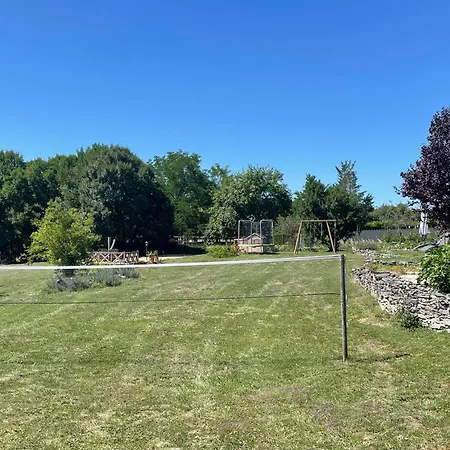 Junior Le Pied De Mulet Brouchaud