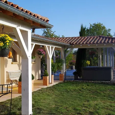 Junior Le Pied De Mulet Brouchaud