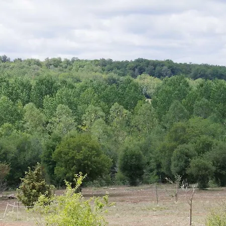 Junior Le Pied De Mulet Brouchaud