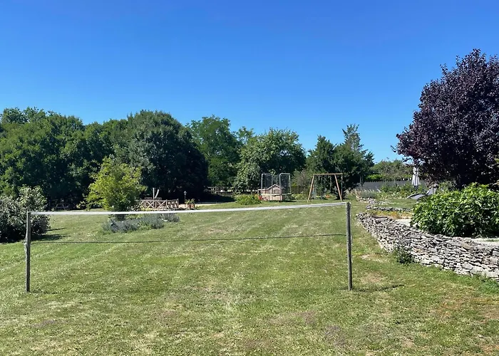 Junior Le Pied De Mulet Brouchaud