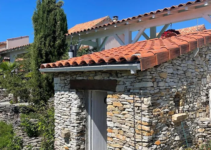 Junior Le Pied De Mulet 4* Brouchaud