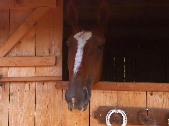 Junior Le Pied De Mulet Gasthof