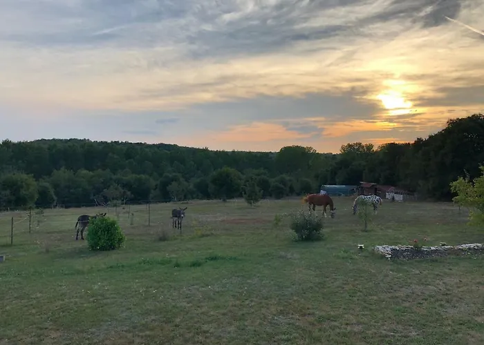 Junior Le Pied De Mulet