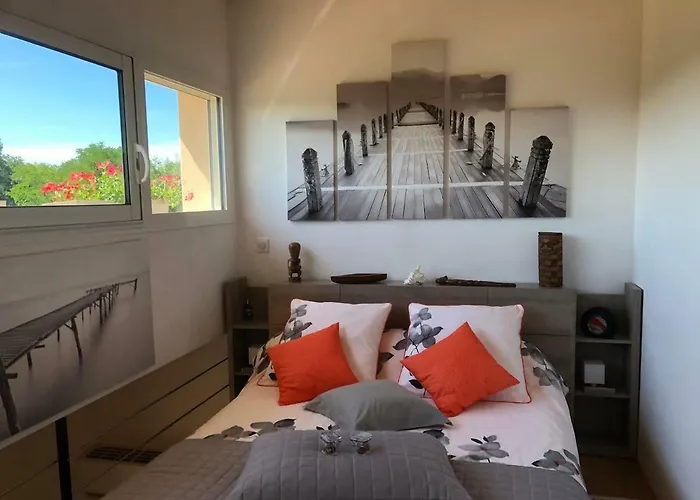 Junior Le Pied De Mulet Brouchaud