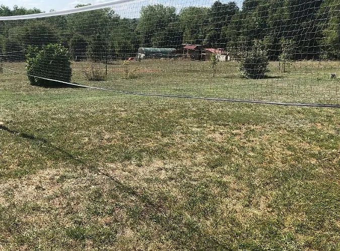 Junior Le Pied De Mulet Brouchaud